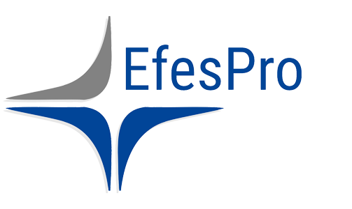 Efespro GmbH